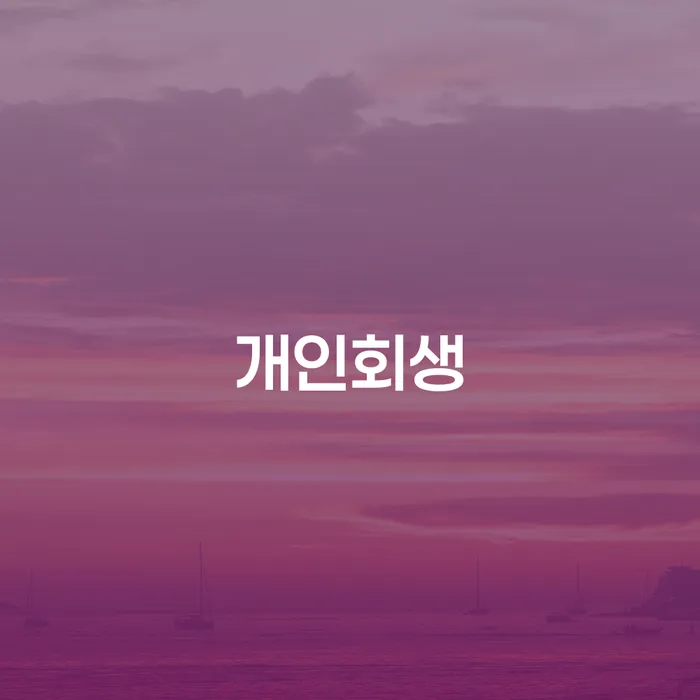 지급명령개인회생 개인회생 탕감을진행