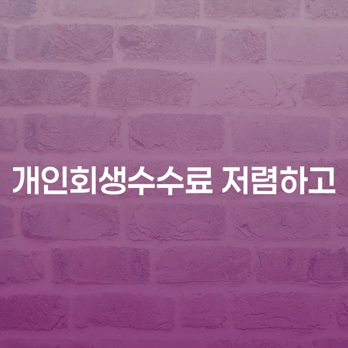 개인회생 개인회생 문제해결방법 확인 하고 진행