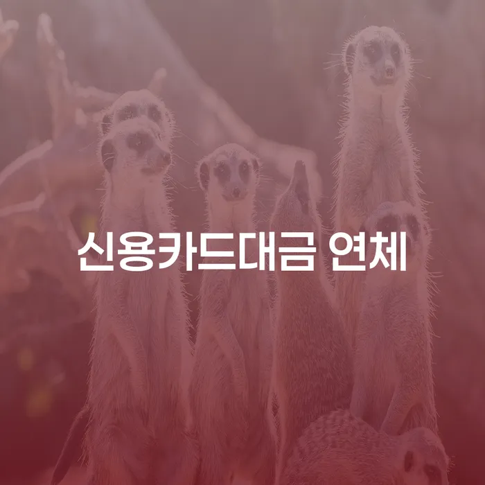 2번째개인회생 개인파산 조심스럽게