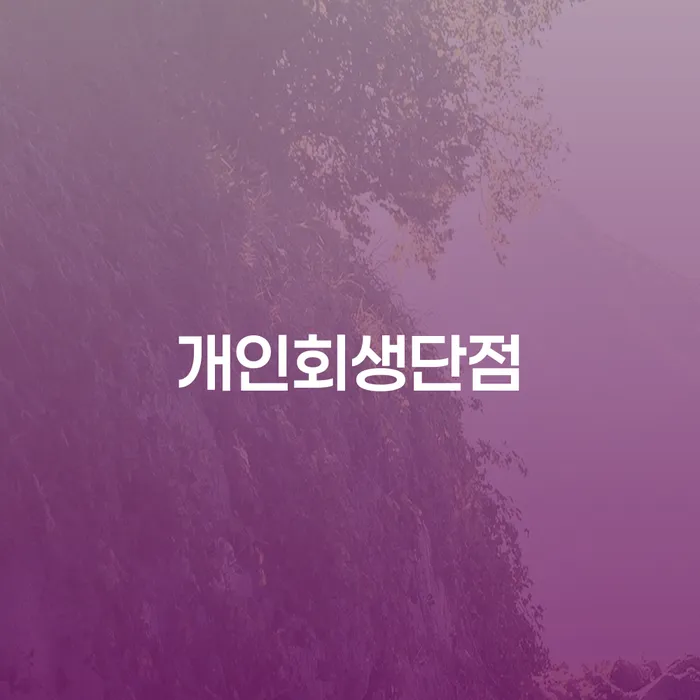 알기쉬운개인회생절차 개인회생으로 해결 구체적으로 살피면서