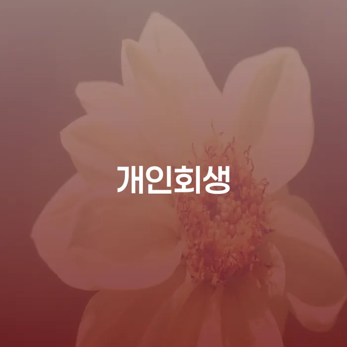 청년대출 연체 시 개인회생으로 방법 상담을통해