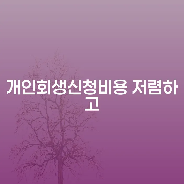 보이스피싱개인회생 추심 대응법 관련