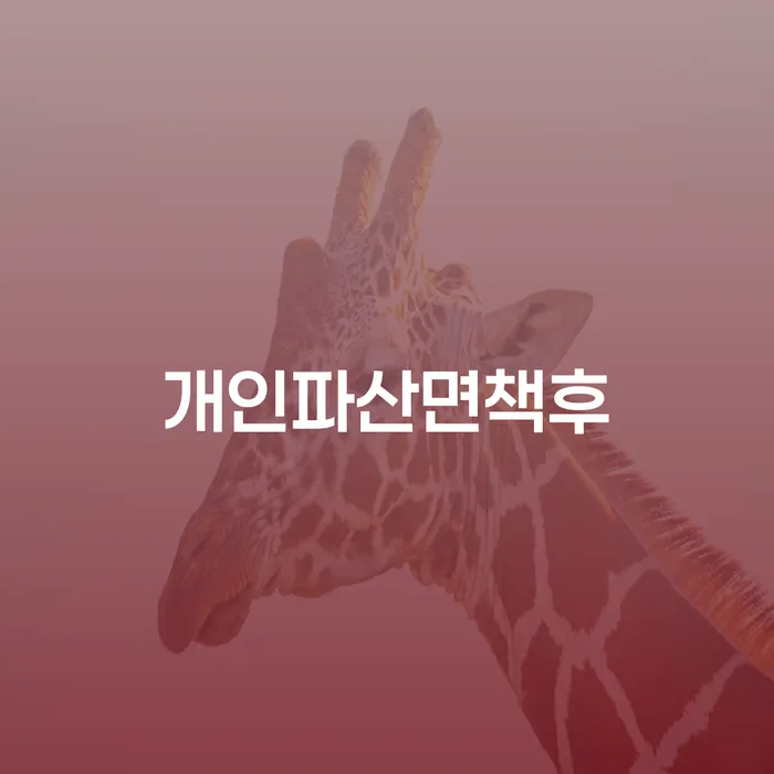함양군 김포개인회생 개인회생으로 해결 추천하는 변호사