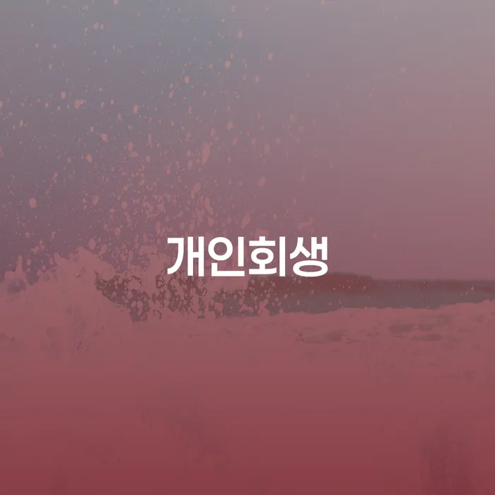 송파구 채무자대리인제도 개인파산 미리알기