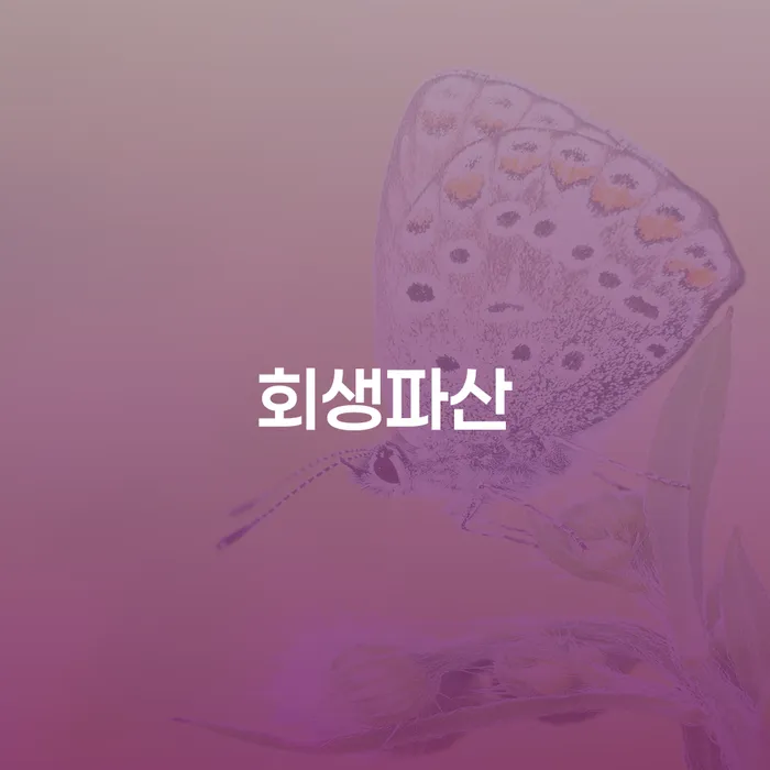 원주시 불법채권추심 빚청산 접수하자