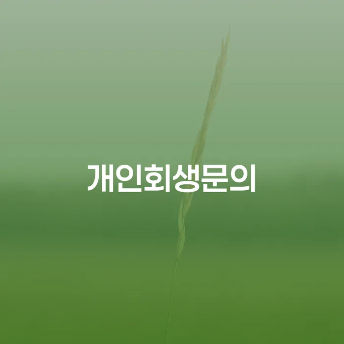 인천광역시 파산자 빚 합법적인 빠른방법 선택의 조건