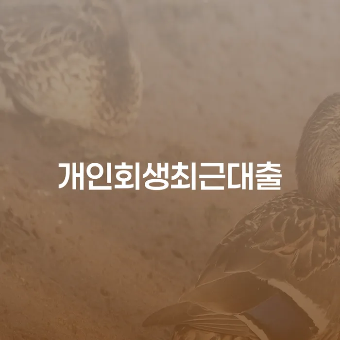청주시 프리랜서대출 개인회생 문제해결방법 할려는데