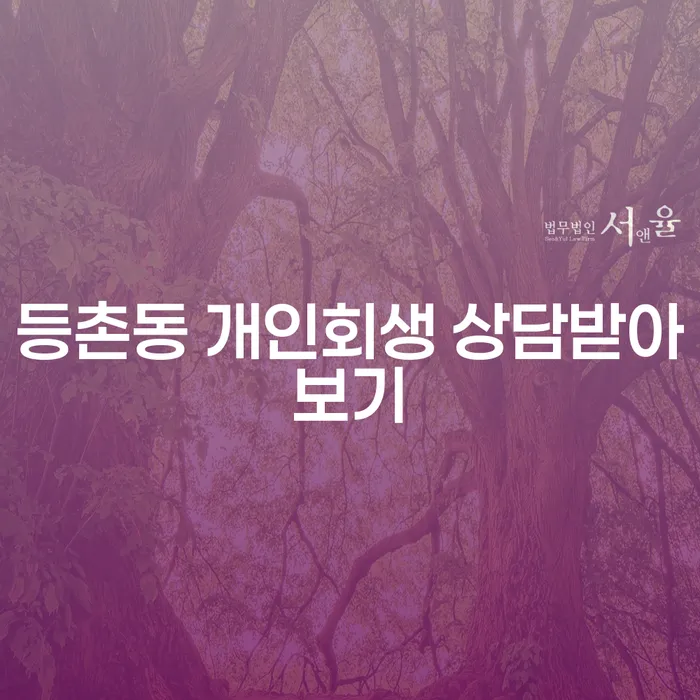 등촌동 개인회생 상담받아보기