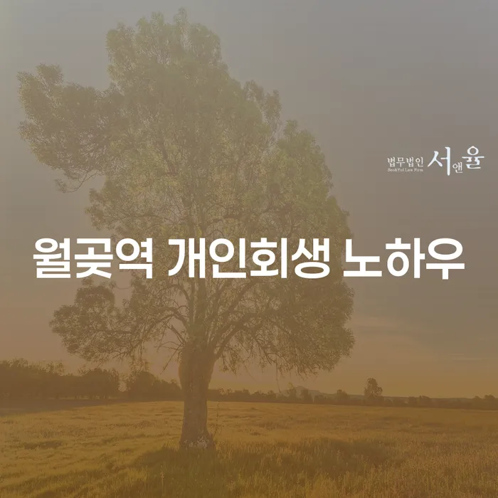 월곶역 개인회생 노하우