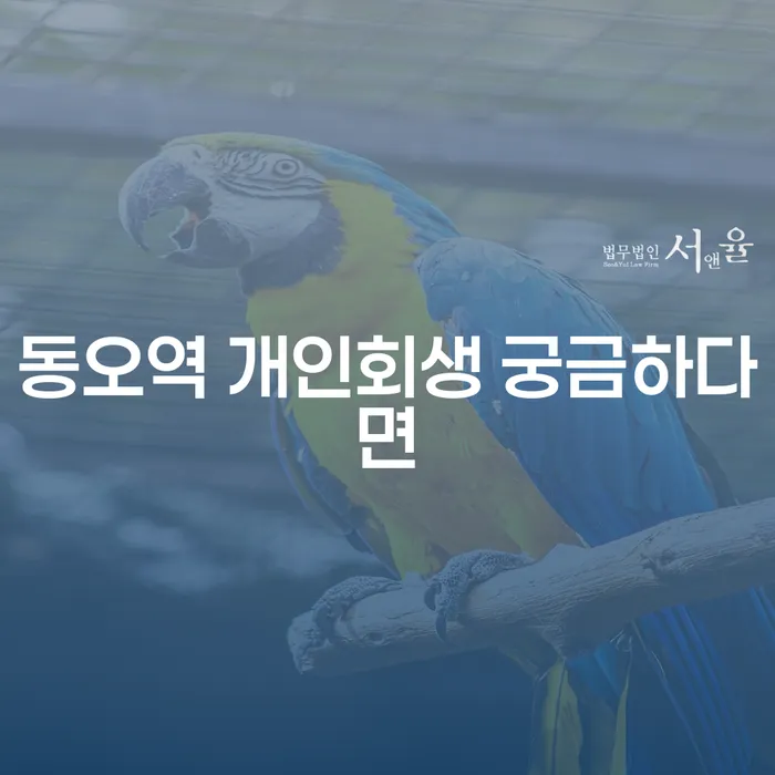 동오역 개인회생 궁금하다면