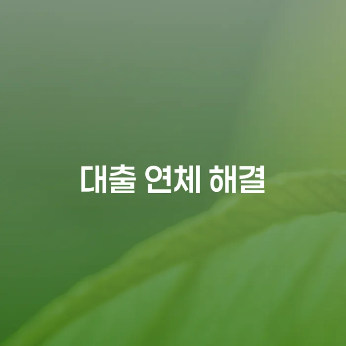 대출 연체 해결 방법을 찾고 계신가요?
