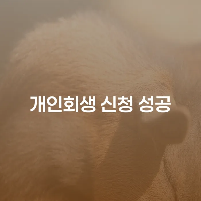 어떻게 개인회생 신청 성공을 이룰 수 있을까요?