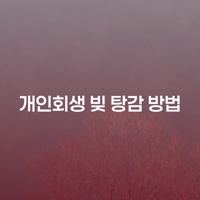 개인회생 빚 탕감 방법: 어떻게 가능할까요?