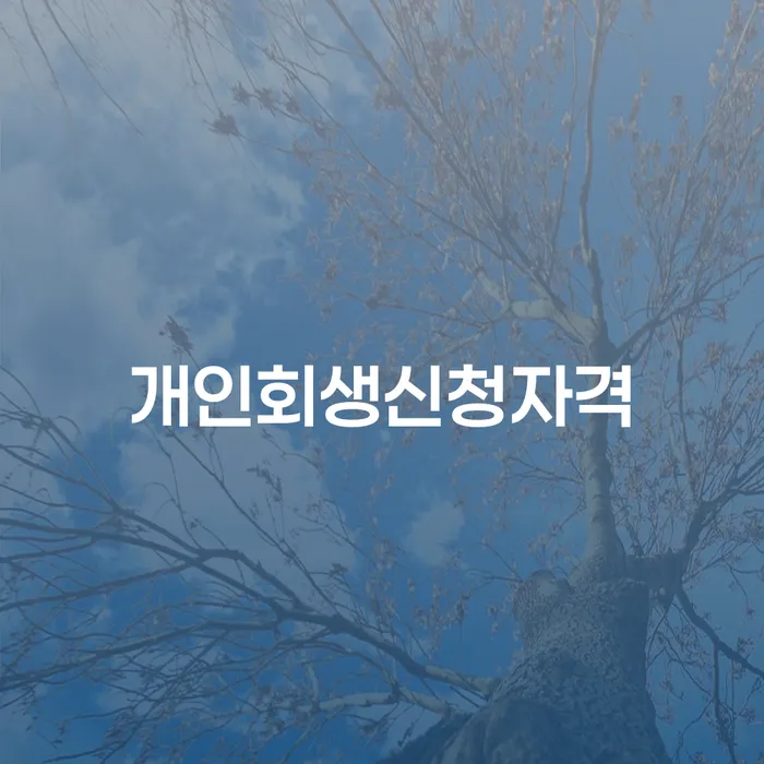 신도림동 개인회생 신청 자격과 절차