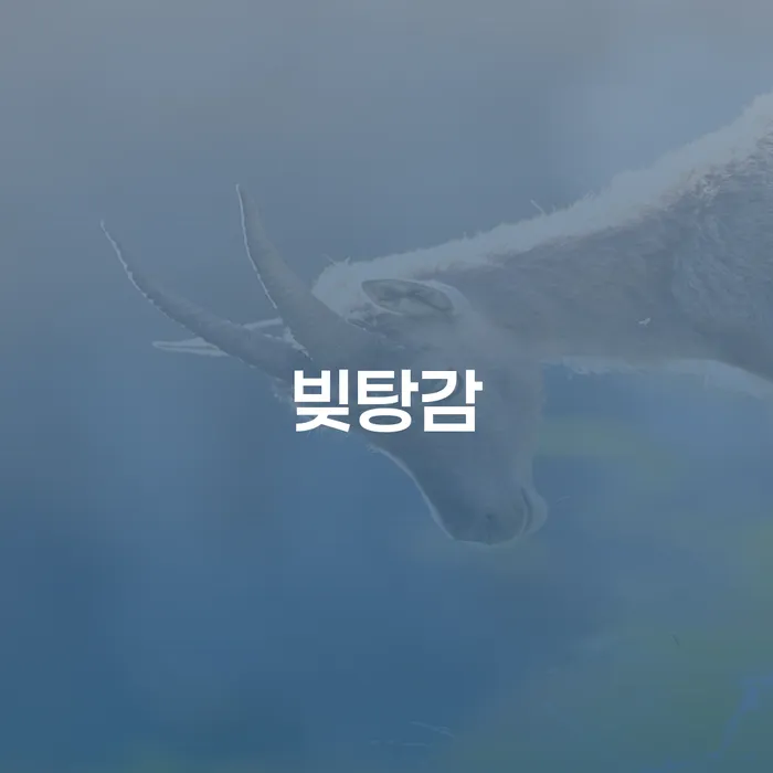 65세, 8900만원 형사합의금 채무, 개인회생이 가능할까요?