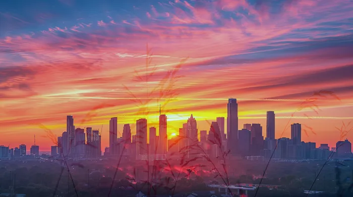 채무 해결 사례