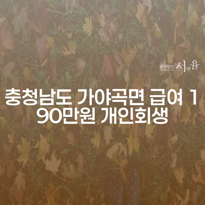 충청남도 가야곡면 급여 190만원으로 개인회생을 고려해볼까요?