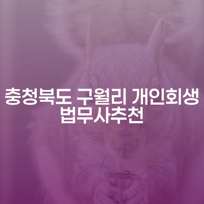 충청북도 구월리에서 개인회생법무사를 추천받고 싶은가요?